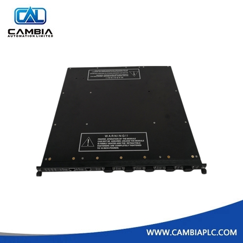 High Quality Triconex 8105 Blank I/O Slot Panel