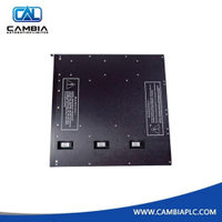 High Quality Triconex 8105 Blank I/O Slot Panel