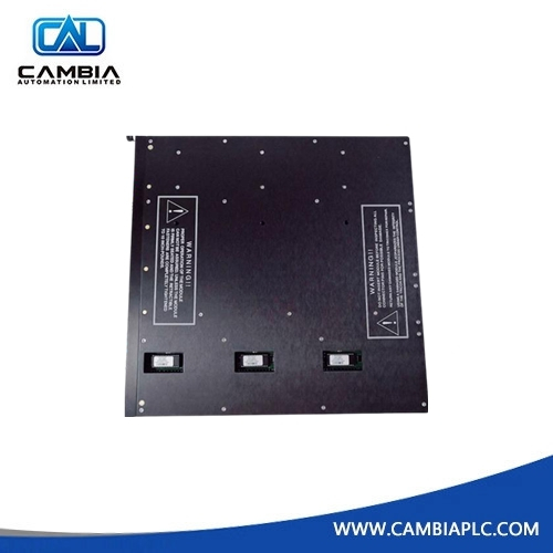 High Quality Triconex 8105 Blank I/O Slot Panel