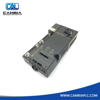 IC200ERM002G | GE Non-Isolated Expansion Receiver Module