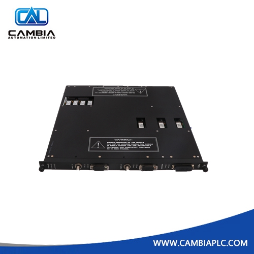 Triconex DI2301 7400208C-020 Automation module